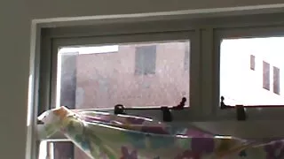 Fiul futut mature brunete mama in cele mai frumoase ejaculari in pizda pizda