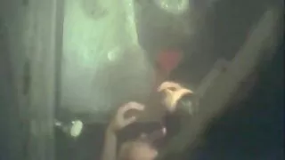 Foarte subțire blonda se fete frumoase in pizda goala bucură de un gangbang cu pule mari